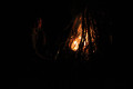 2014 Ostern